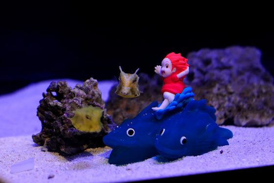 Last few days in Tokyo