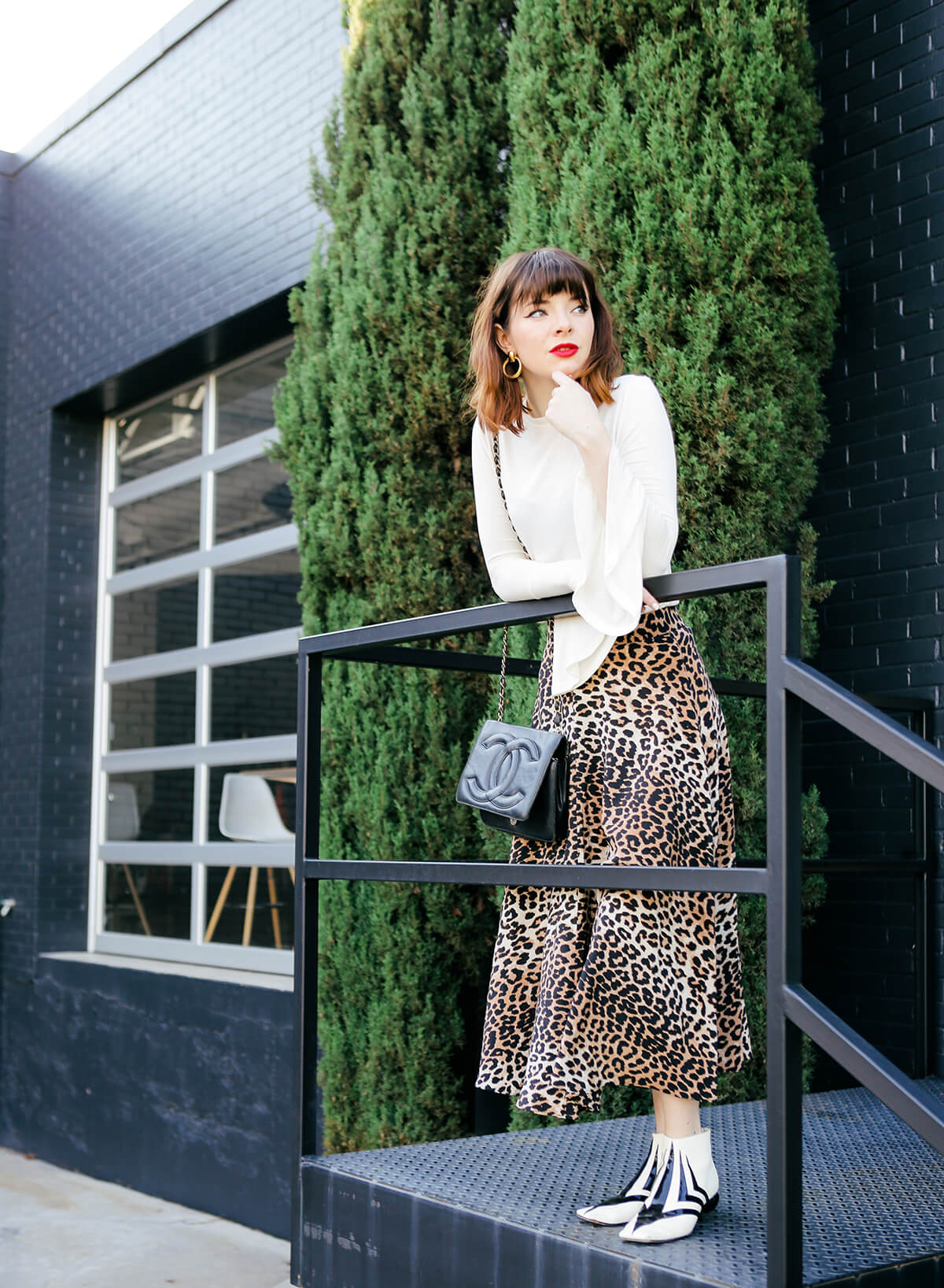 leopard on ebmxuhkl.top